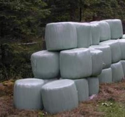 Silage bales