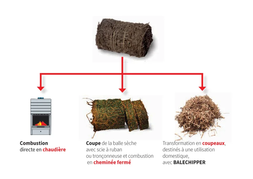le potature diventano pellet o bricchetti per uso energetico