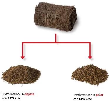 Easysystem Professional line