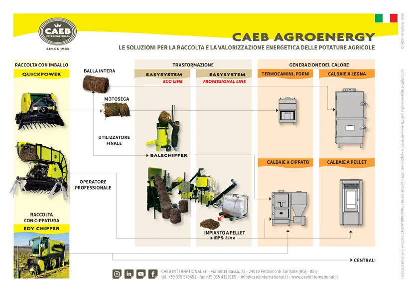 Energia dalle potature agricole