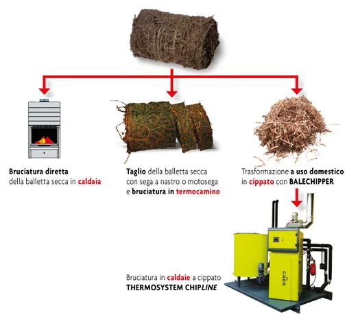 le potature diventano pellet o bricchetti per uso energetico