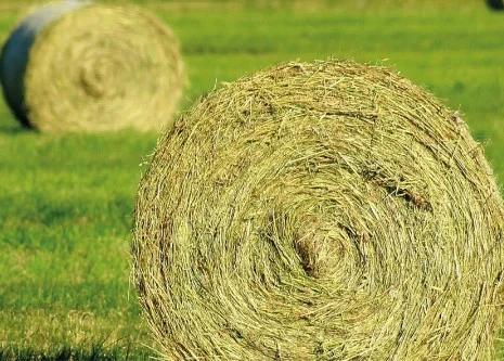 Haymaking